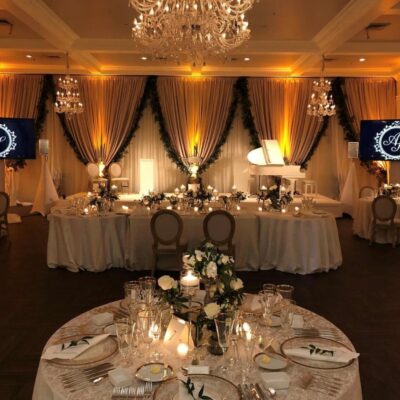 Champagne Satin_Ivory Sheer_double layered reception backdrop (2)-min