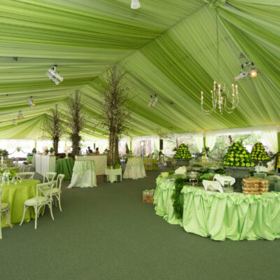 Lime Green Sheer Tent Ceiling-min