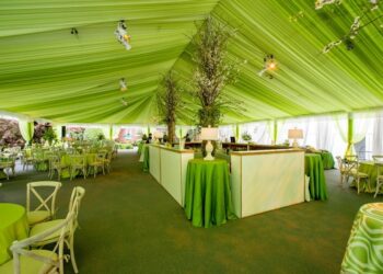 Ceiling social wedding lime green sheer tent 1