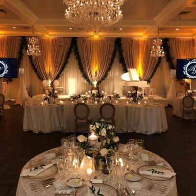 Champagne Satin Ivory Sheer double layered reception backdrop 2