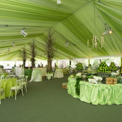 Lime Green Sheer Tent Ceiling